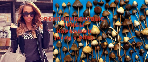 скорость Магадан